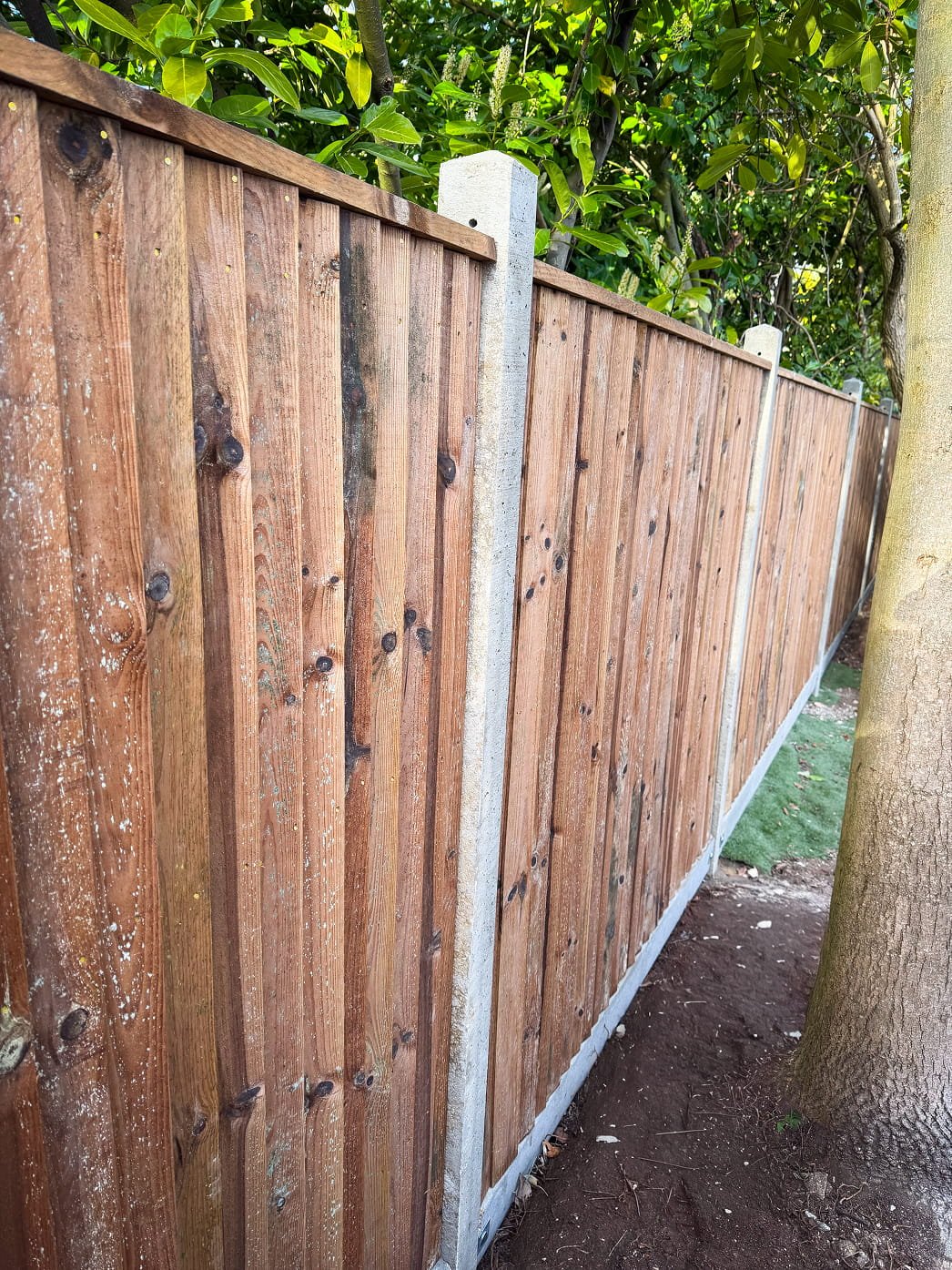 Modern side gate and fencing project photo 3